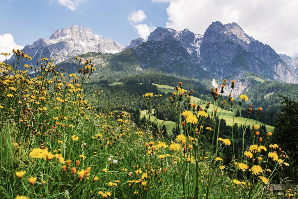 Alpin Lodge Leogang By Alpin Rentals Zewnętrze zdjęcie