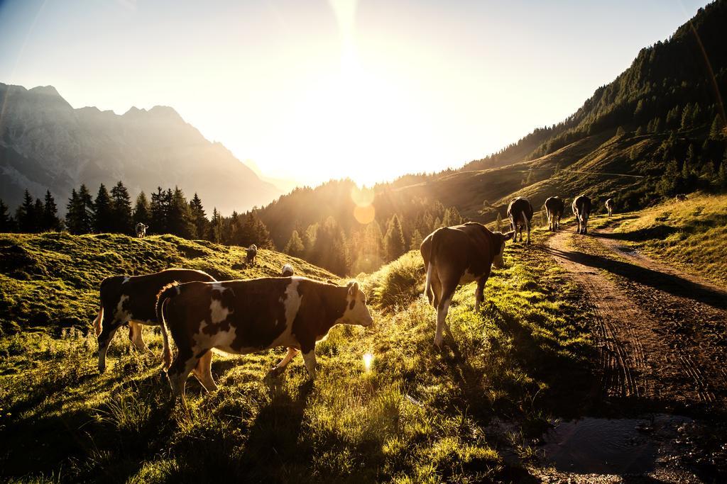 Alpin Lodge Leogang By Alpin Rentals Zewnętrze zdjęcie